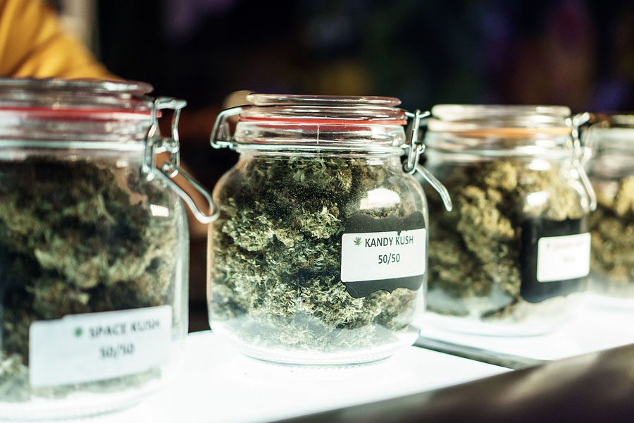 Cannabis Insurance - Cannabis Flowers in Medicinal Jars